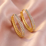 Load image into Gallery viewer, Oval Hoop Earrings