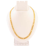 Load image into Gallery viewer, Unisex Gold-Toned Brass Gold-Plated Chain
