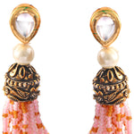 Load image into Gallery viewer, Beaded Multi-Layer Necklace and Tassel Earring Jewellery Set for Women
