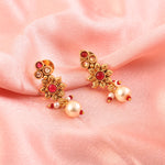 Load image into Gallery viewer, Gold-Toned Multicolour Stone Choker Necklace Set with Earrings
